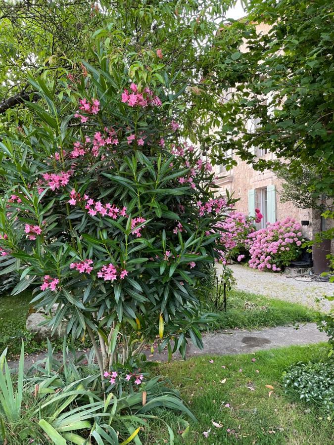 La Maison D'Hortense Et Lili Allemans Exteriér fotografie
